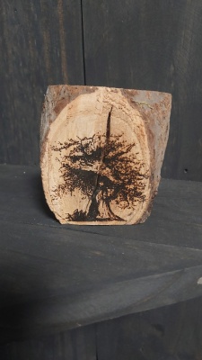 koka glezniņa