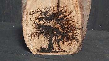 koka glezniņa