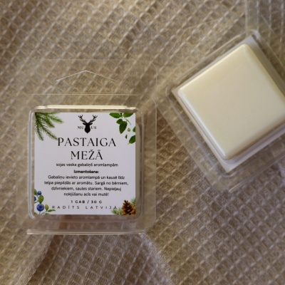 Aroma vasks - Pastaiga mežā" M