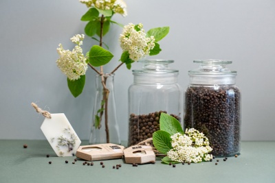AROMĀTISKAIS VASKS AR KADIĶA AROMĀTU
