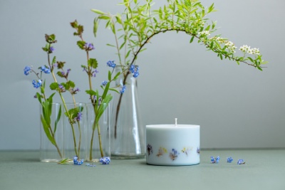 SOJAS VASKA SVECE AR EIKALIPTA AROMĀTU (S)