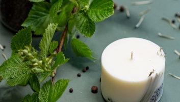 SOJAS VASKA SVECE AR KADIĶA AROMĀTU (S)