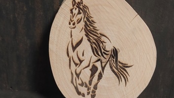 Magnēts ar zirga attēlu