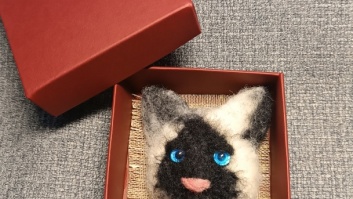 Piespraude -  Kaķītis