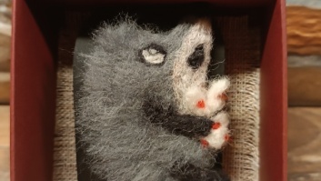 Piespraude - Sirsnīgais ezītis