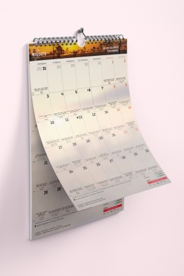 Sienas (A3) plānotājs