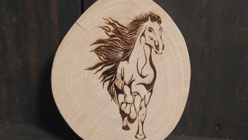 Magnēts ar zirga attēlu